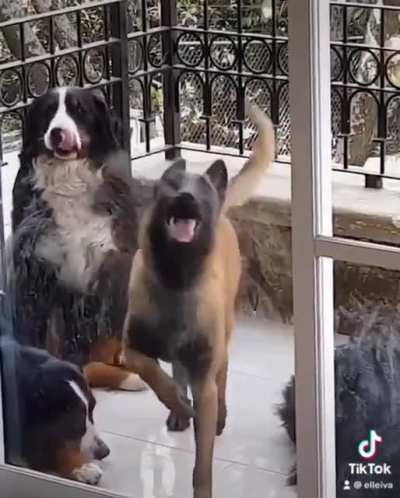 She’s a maniac…