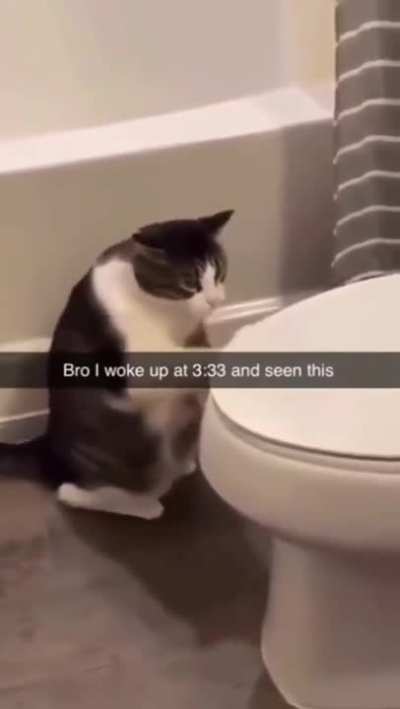 Lol