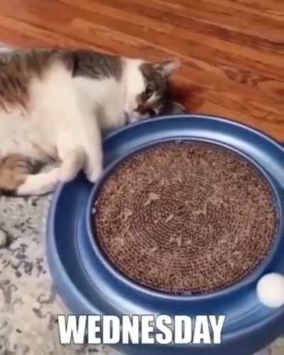 me_irl
