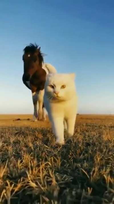 Сьяду я вирхоом на котаа! Ты несее паа кухнее минааа! Па бескр<wbr>айним<wbr>у кухне маему, па бескр<wbr>айним<wbr>у кухне маему!