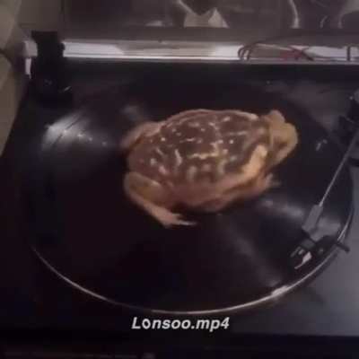Memes x música