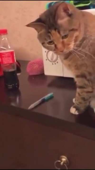 Do that one more time, I dare you!