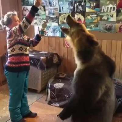 Family members can also be bears