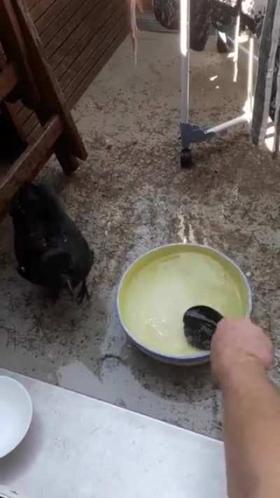 Купание красного коня