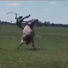 OMG