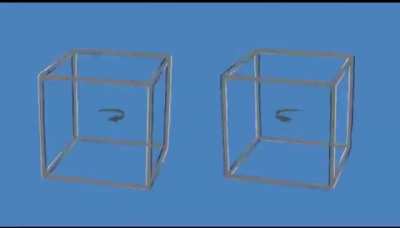 These cubes aren't moving