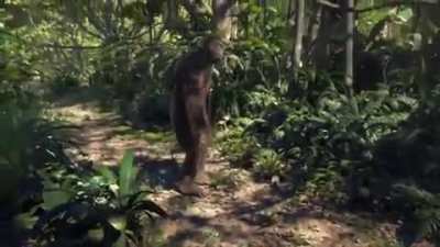 Monke
