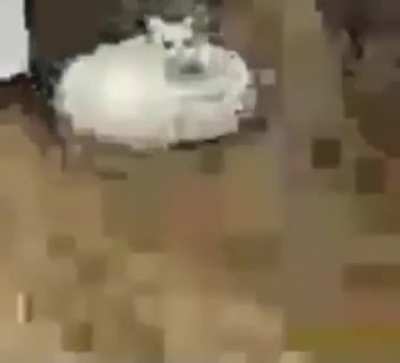 he's coming