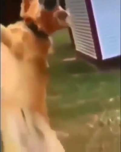 Hmmmm