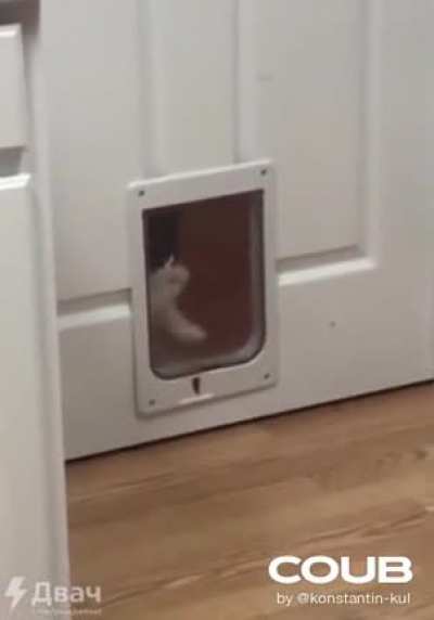 Опоздал