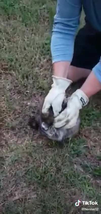 Can’t think of a title