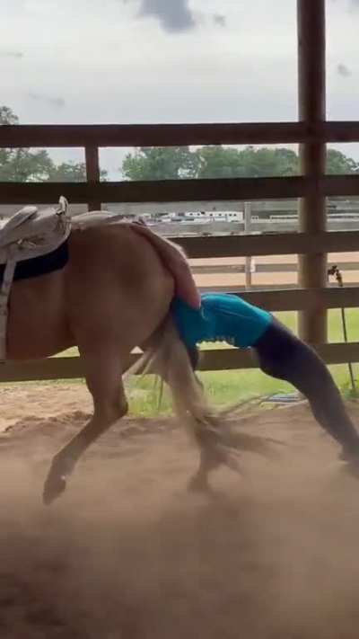 This girl has a special bond with her horse