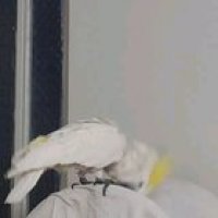 Moving that head all around!!