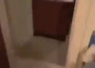 leaked jawsh stream