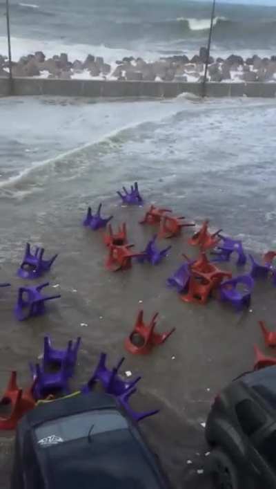 Normal day in Alexandria