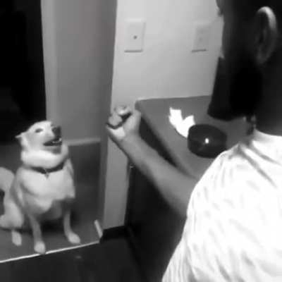 Bad boy.