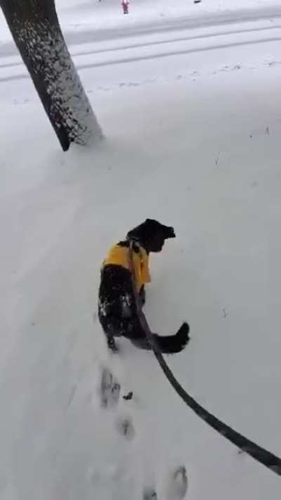 HER.