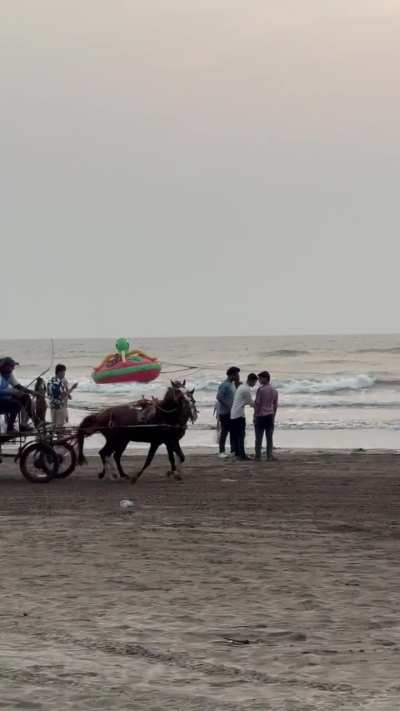 I saw something in Alibag that really didn’t sit right with me.