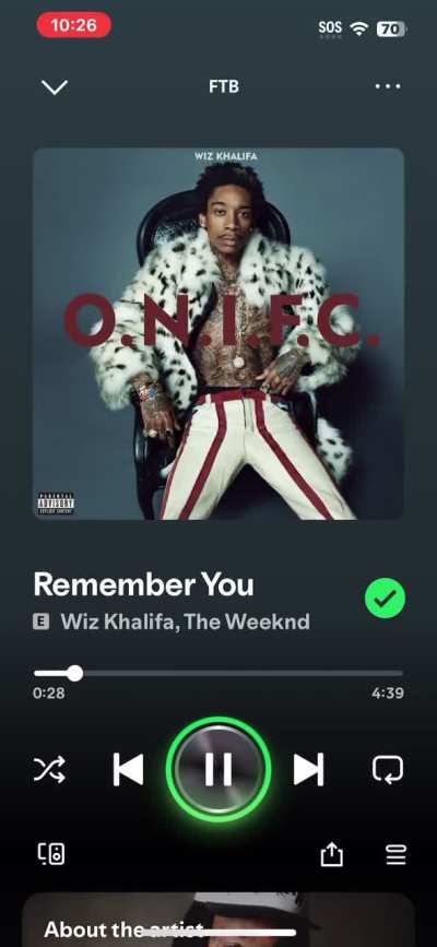 spotify automix