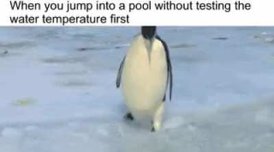It's so cold!!