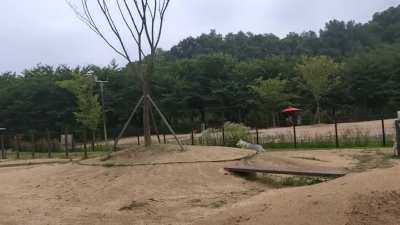 Balto (5m) does a Flyby recall. But he always comes. A look into a Korean dog park.