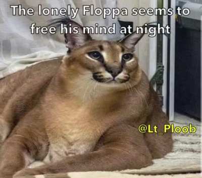 Lonely Floppa