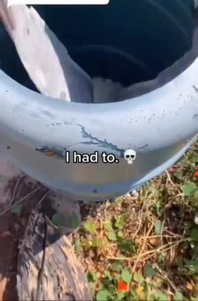 Surprise