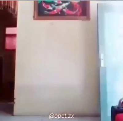 pro magician