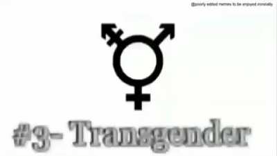 36 facts about 36 genders