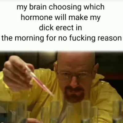 Legit
