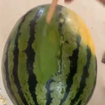 Beanmelon