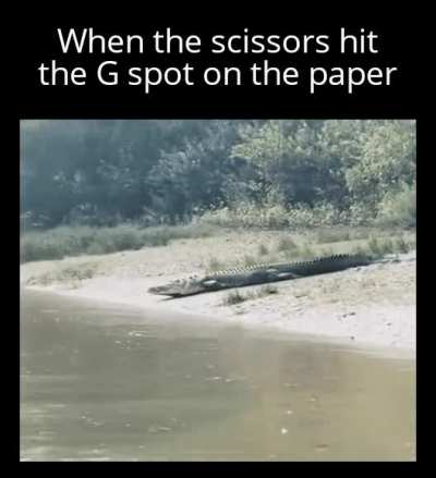 That perfect glide