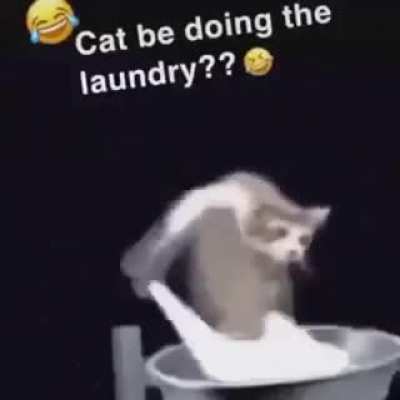 😂😂😂