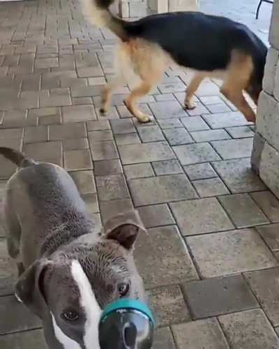 Water time