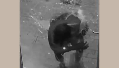 Stupid Thief