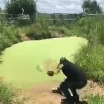 Something is there