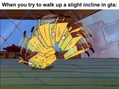 E l e v a t i o n