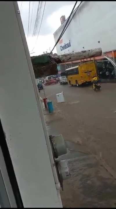 ¿Ahora que sigue?