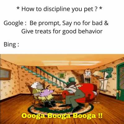What can we expect from bing ?