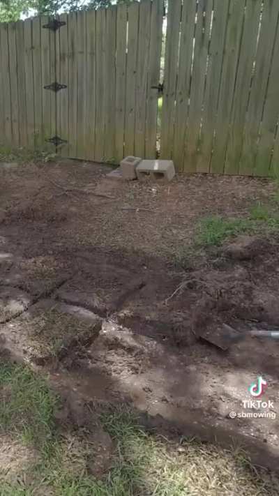 What a awesome power wash!