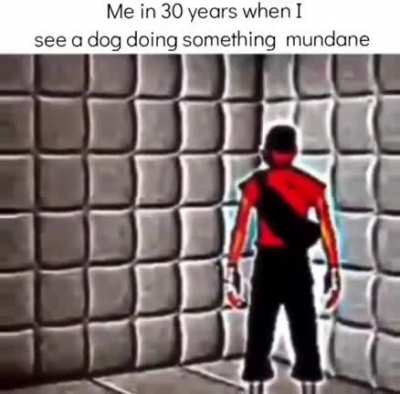 What da rule doin'?