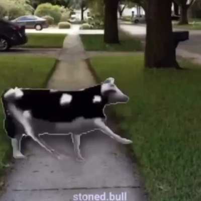 Yup