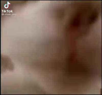 Kissu