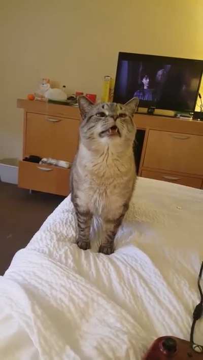 Maybe Maybe Maybe