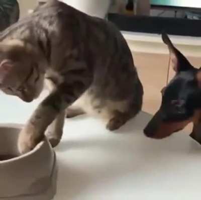 Alright, you may have just one.