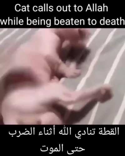 :pray: