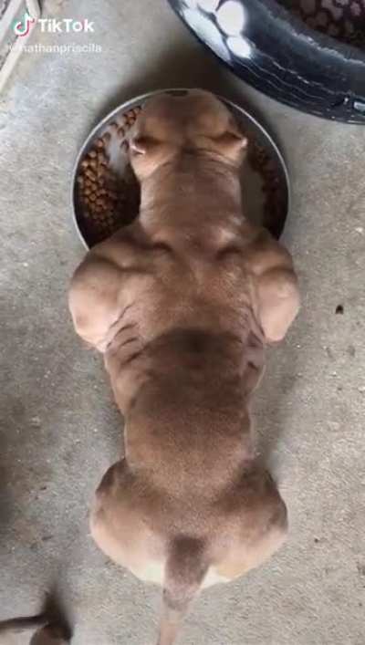 natty or juice?