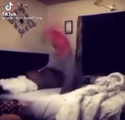 Sick flips though