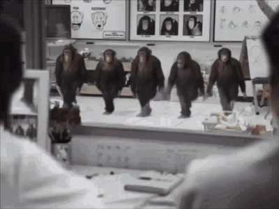 Monke