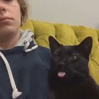 It stopped right before the beat dropped